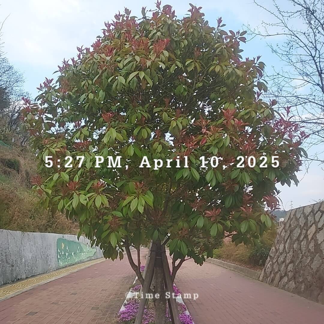 경기도 기후행동 기회소득 신청방법