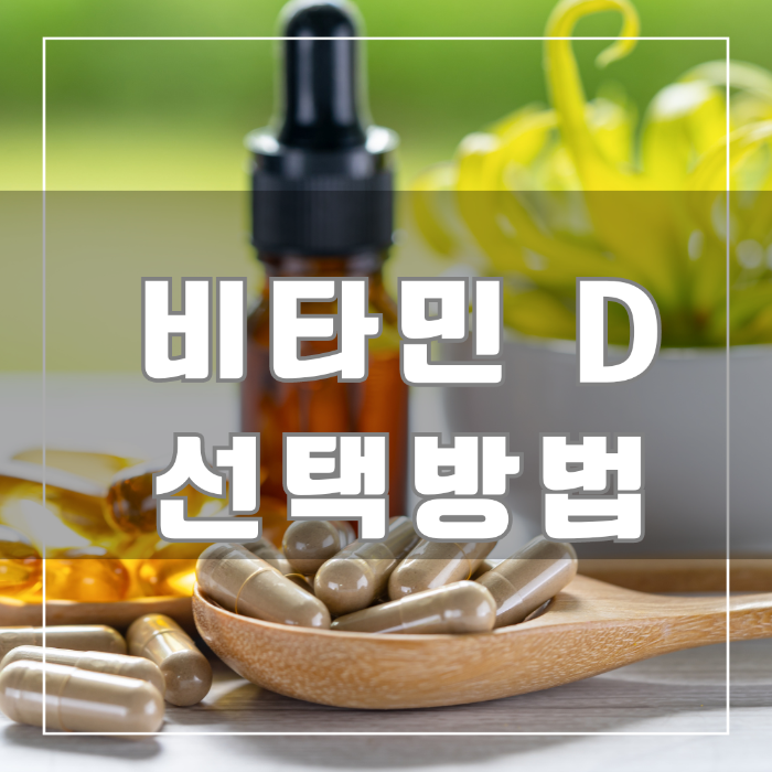 비타민D 선택방법