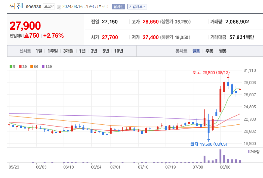 코로나-관련주-씨젠-일봉차트