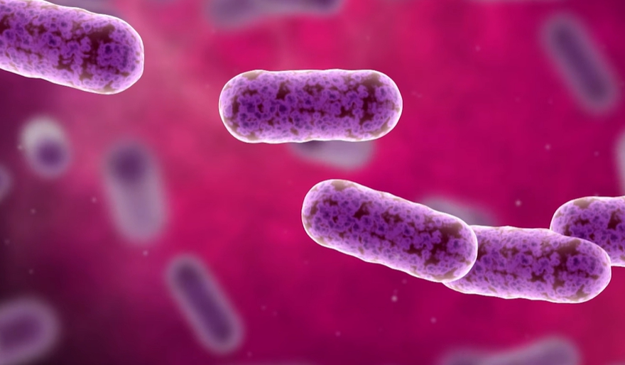 사타구니 가려움증