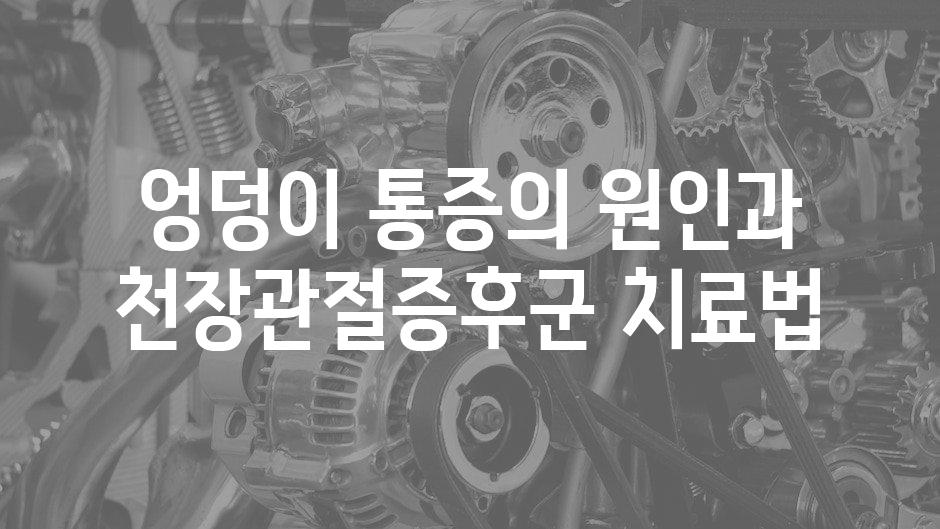 샘플 (59)