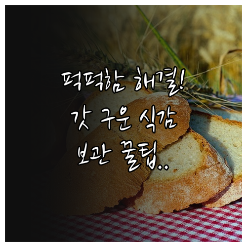 통곡물 빵 퍽퍽함 해결법과 신선한 보..