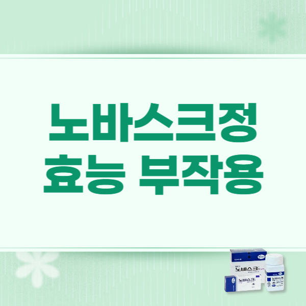 노바스크정 5mg 효능 부작용 가격