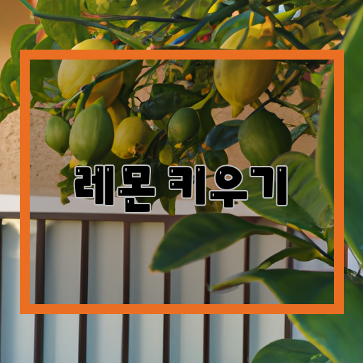레몬-집에서-키우기-팁