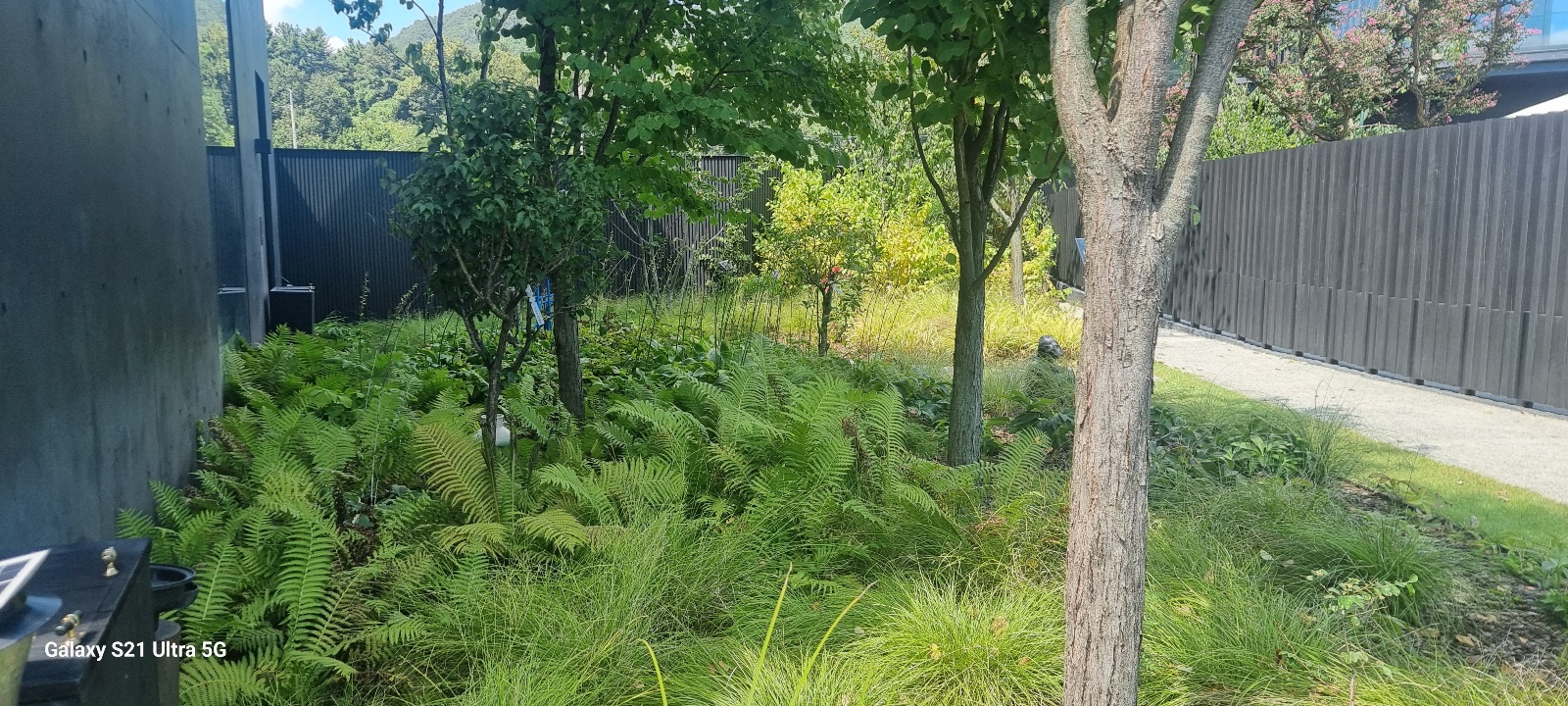 시호재 &amp; 시차카페 정원