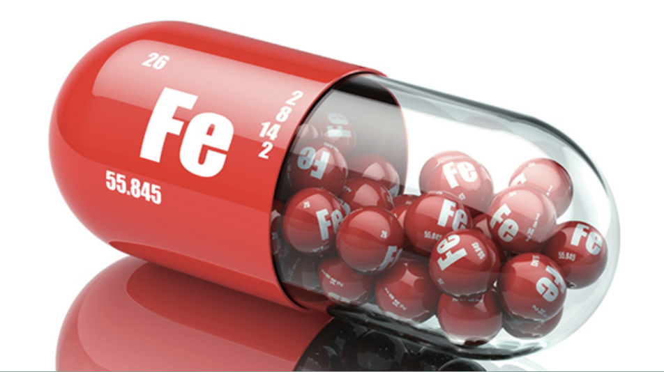 탈모 예방을 위한 최고의 음식 추천