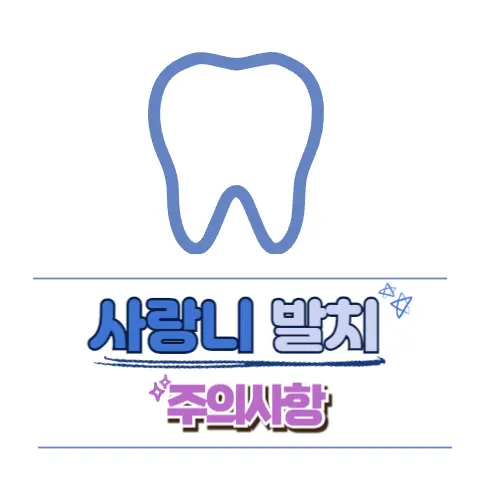 사랑니 발치 후 주의사항