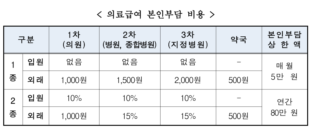 의료급여 본인부담 비용