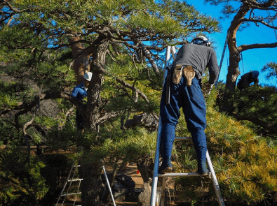 노인 일자리 신청자격 바로가기