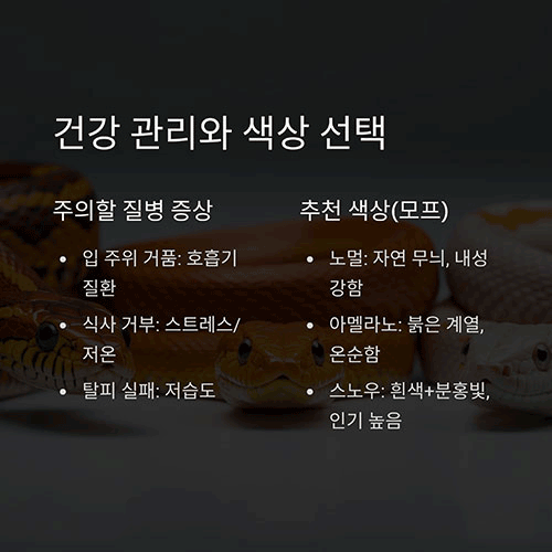 주의해야 할 질병과 관리 팁