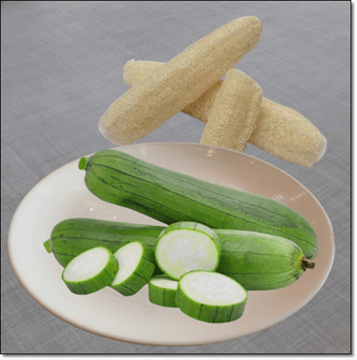 수세미 활용법