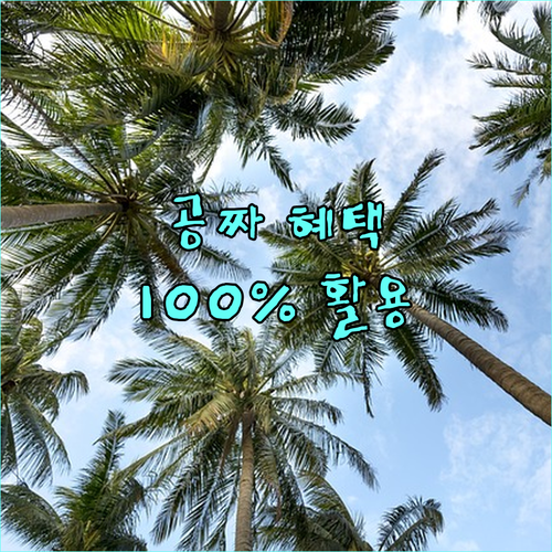 기업과 정부가 숨겨둔 공짜 혜택, 1