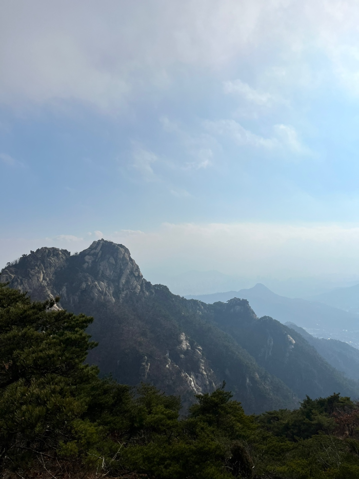 사진은 실물의 10%