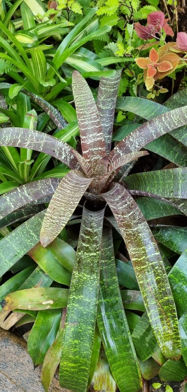 세종 국립 수목원