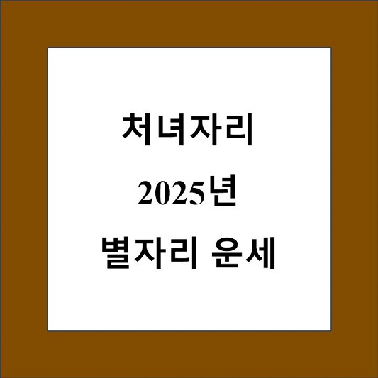 처녀자리 2025년 별자리 운세 제목 상자