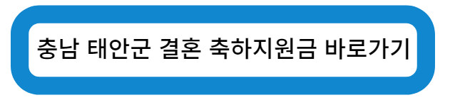 츙청남도 태안군 결혼 축하 지원금 바로가기