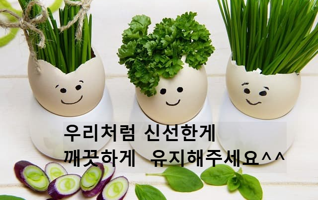신선한 채소