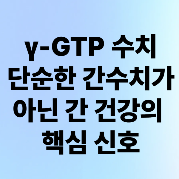 γ-GTP 수치가 높다는 건 무슨 의미일까? 단순한 간수치가 아닌 간 건강의 핵심 신호