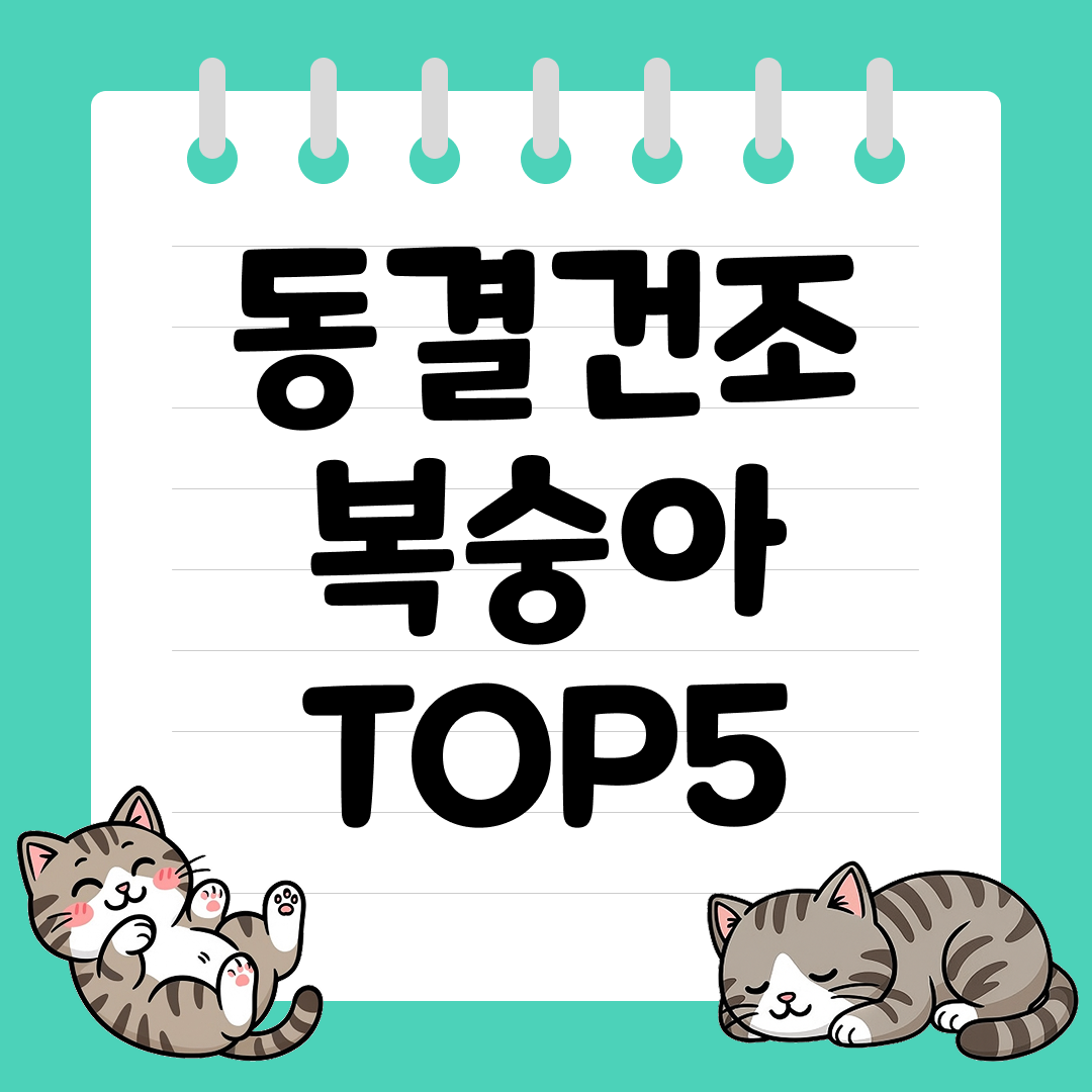 향긋한 과일 풍미가 살아있는 동결건조 복숭아 추천 순위 TOP5