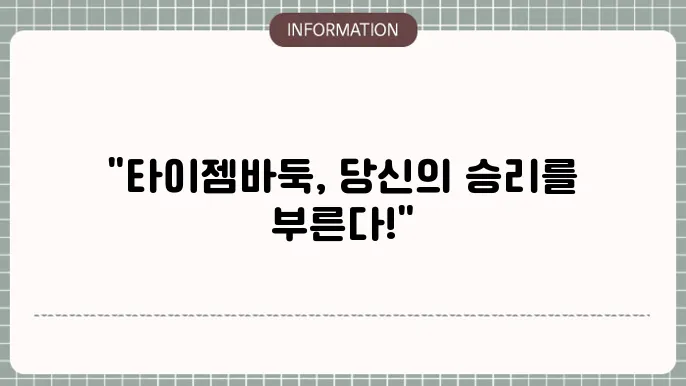 타이젬바둑 설치 및 게임 방법