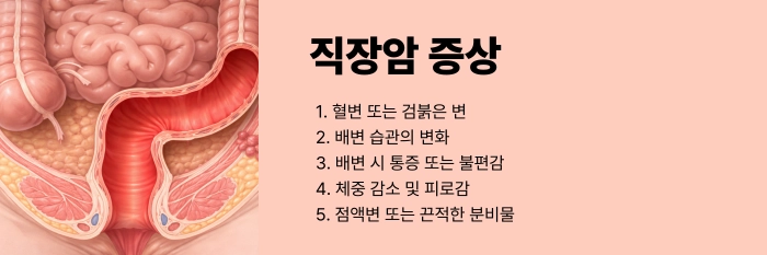 직장암 증상