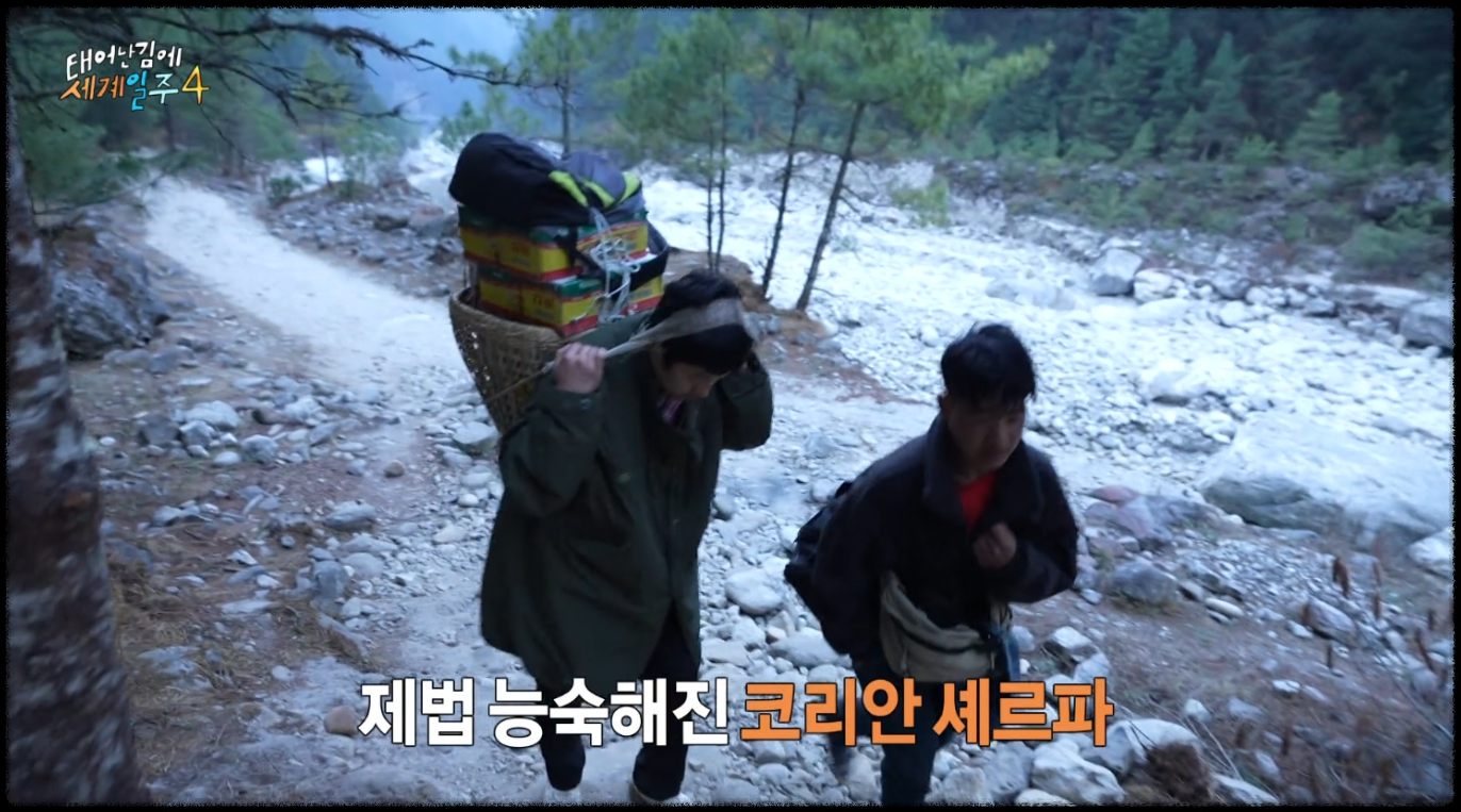 태어난김에 세계일주 시즌4 관련 사진