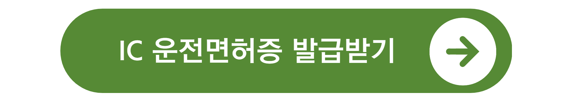 모바일 신분증