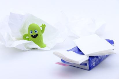 폴란드-아로니아와-국내산-아로니아-비교