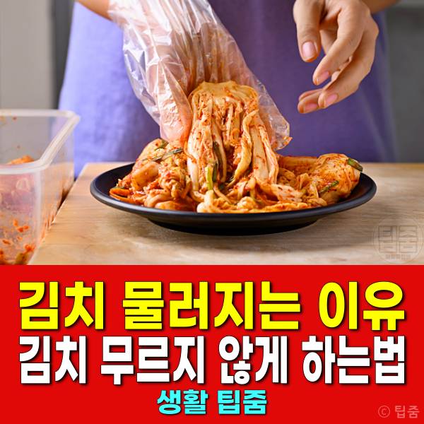 김치 물러지는 이유 김치 무르지 않게 하는 법