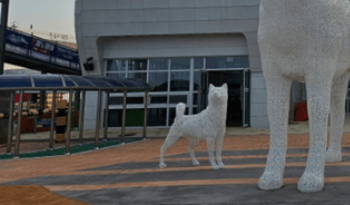 진도에서_추자도_가는_방법