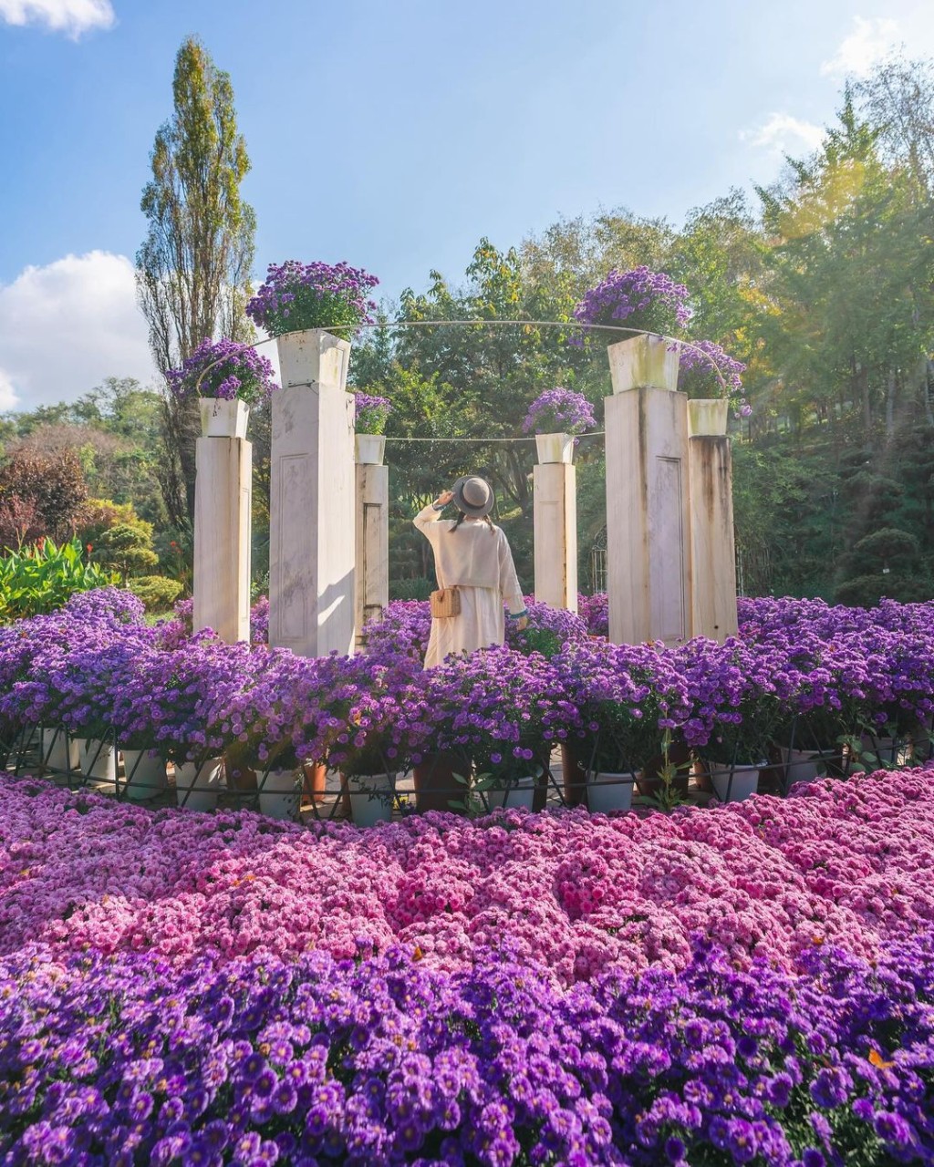 피나클랜드 가을꽃 축제 즐길거리 체험 가을 감성을 담은 여행