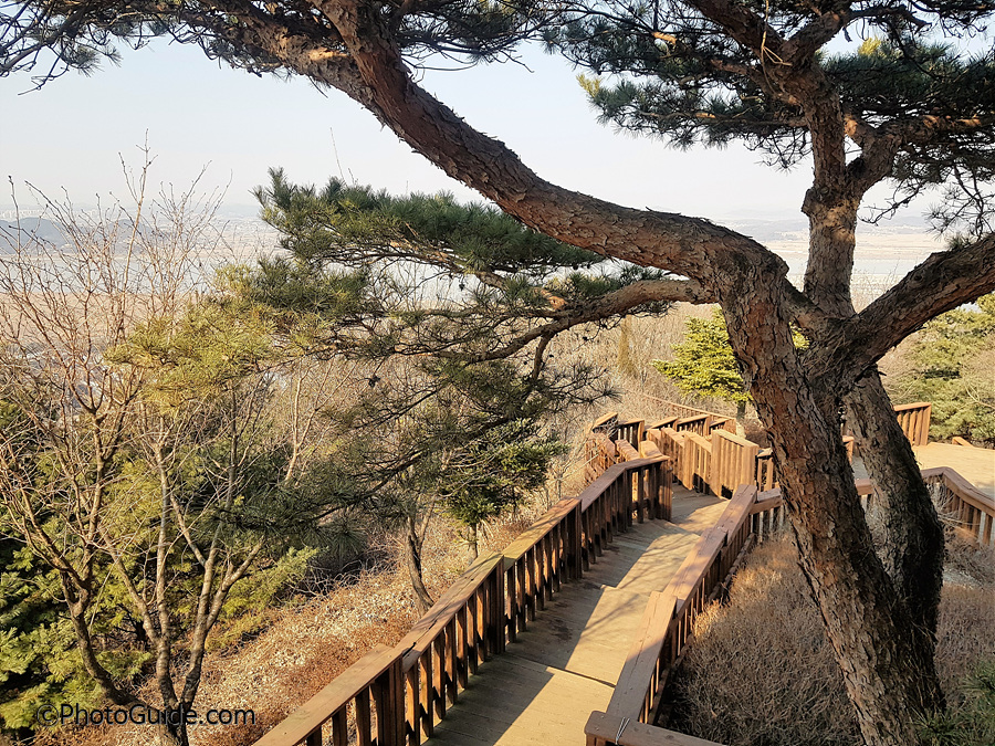 심학산