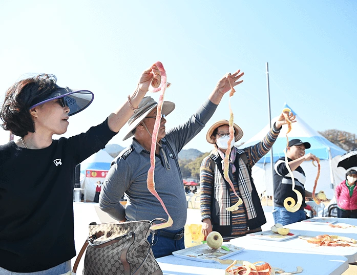 청송사과축제 날짜