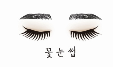 꽃눈썹
