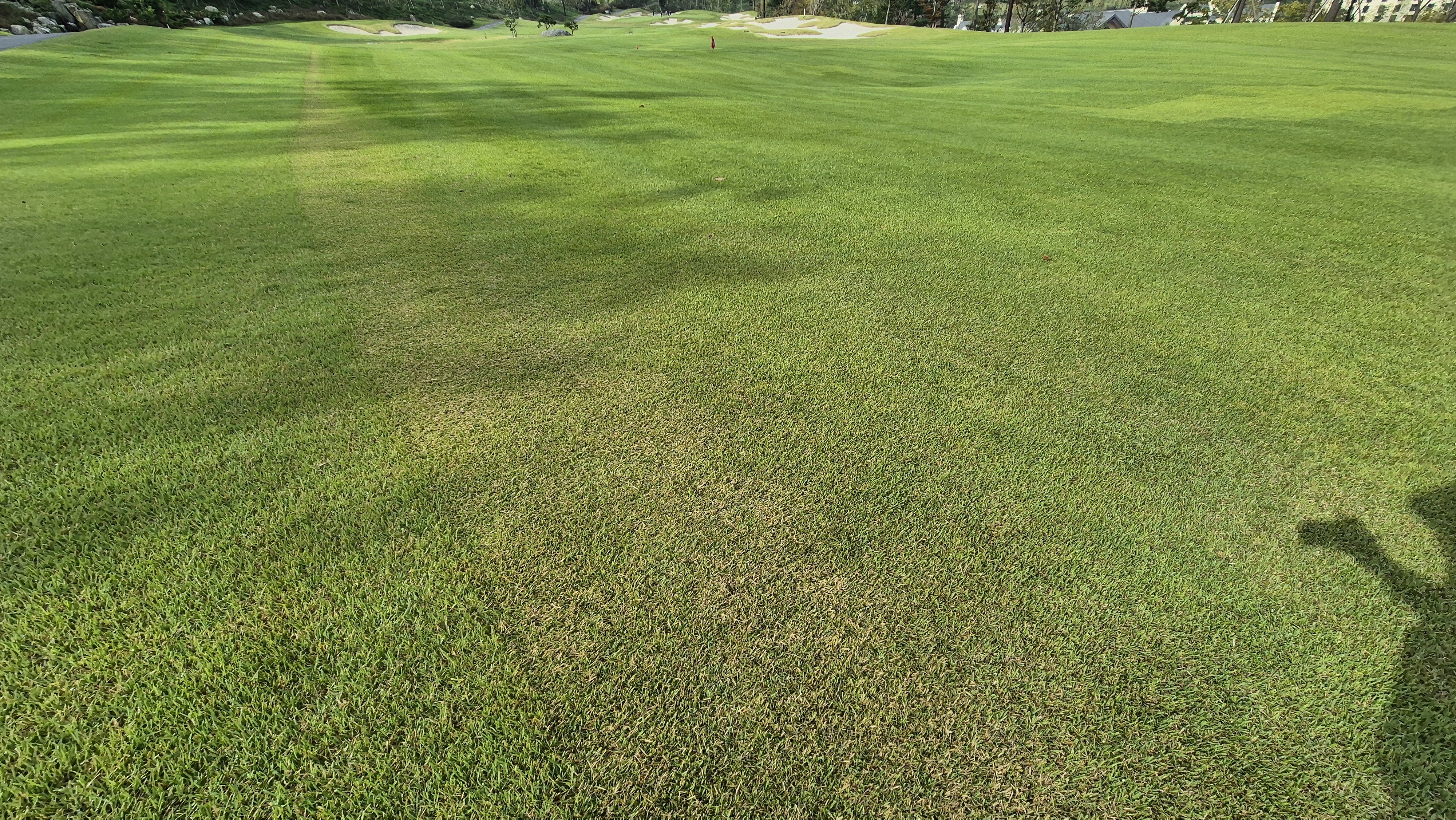 오로라cc 코스 관리 상태