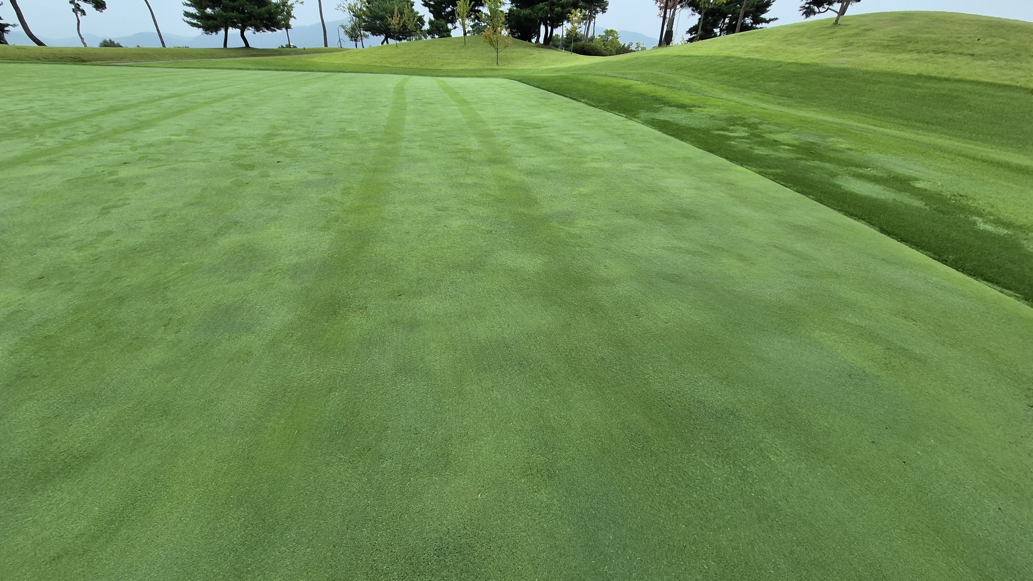 골프존카운티 진천