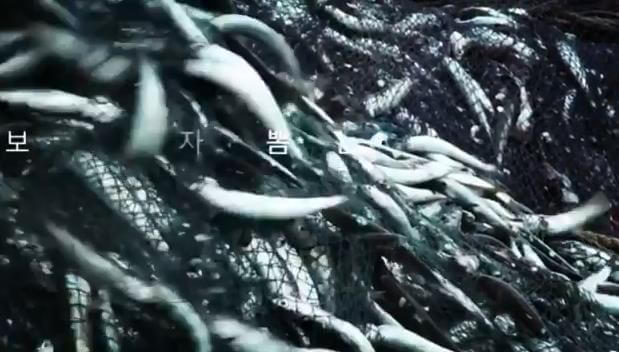 부산-기장-대변항-멸치