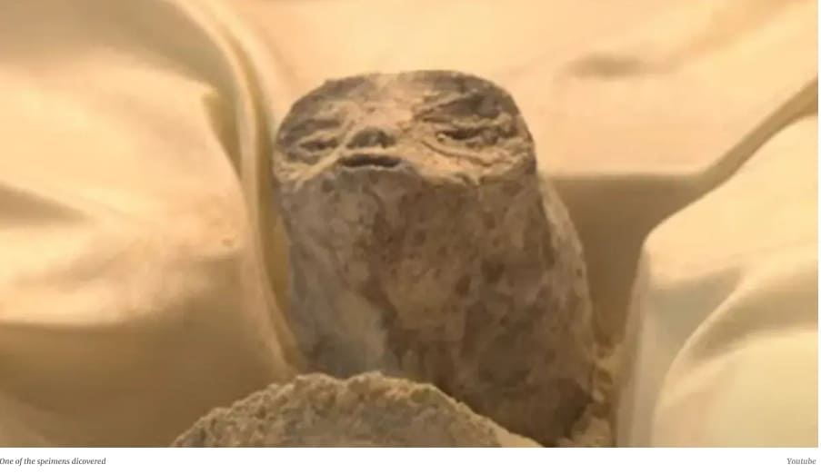 UFO 전문가, 멕시코 의회서 '외계인 시체' 공개 VIDEO: UFO expert unveils 'alien corpses' in Mexico Congress