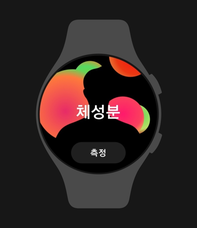 갤럭시 워치 체성분 측정 방법