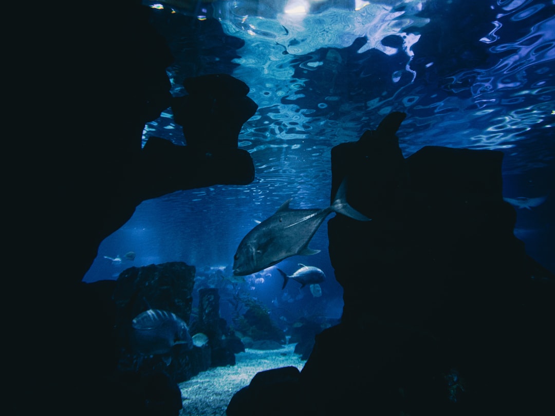 Aquaworld
