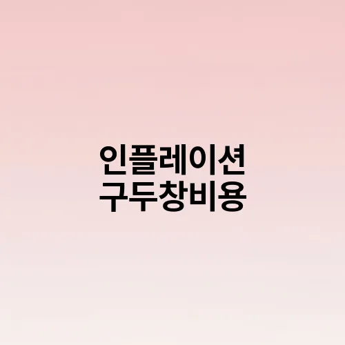 인플레이션 구두창비용