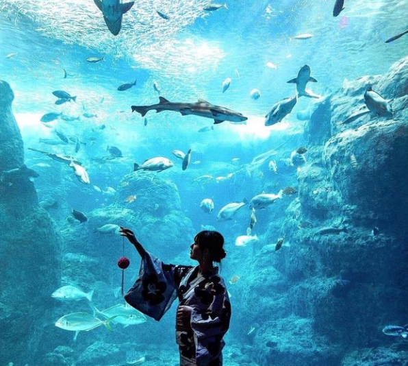 후쿠오카 근교 여행 마린월드 우미노나카미치