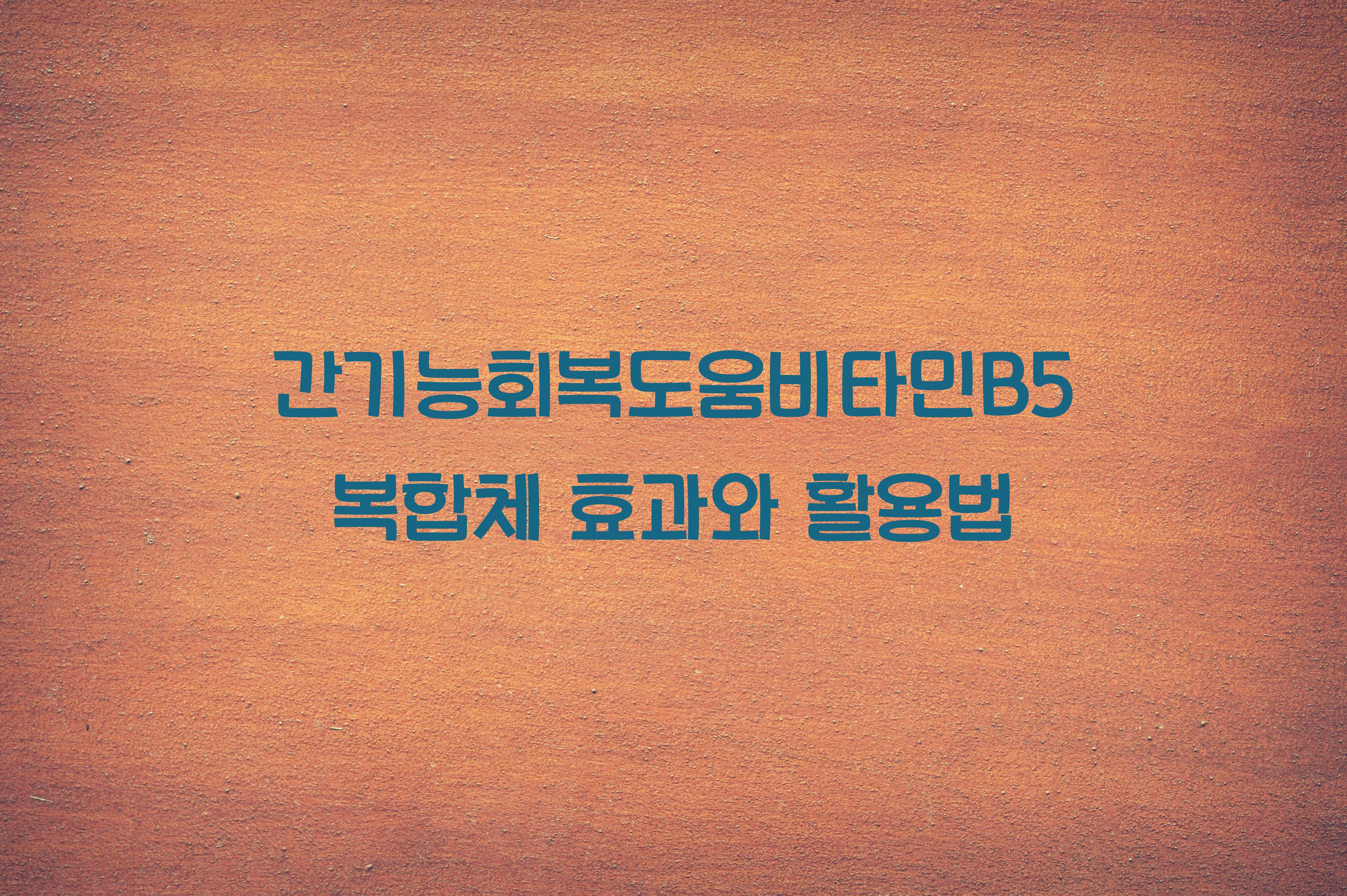 간기능회복도움비타민B5복합체