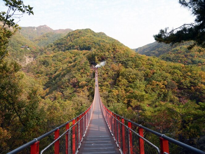 2025 경기도 단풍 트레킹 BEST 7 : 가을 하이킹 완벽 가이드_파주 감악산 출렁다리 단풍