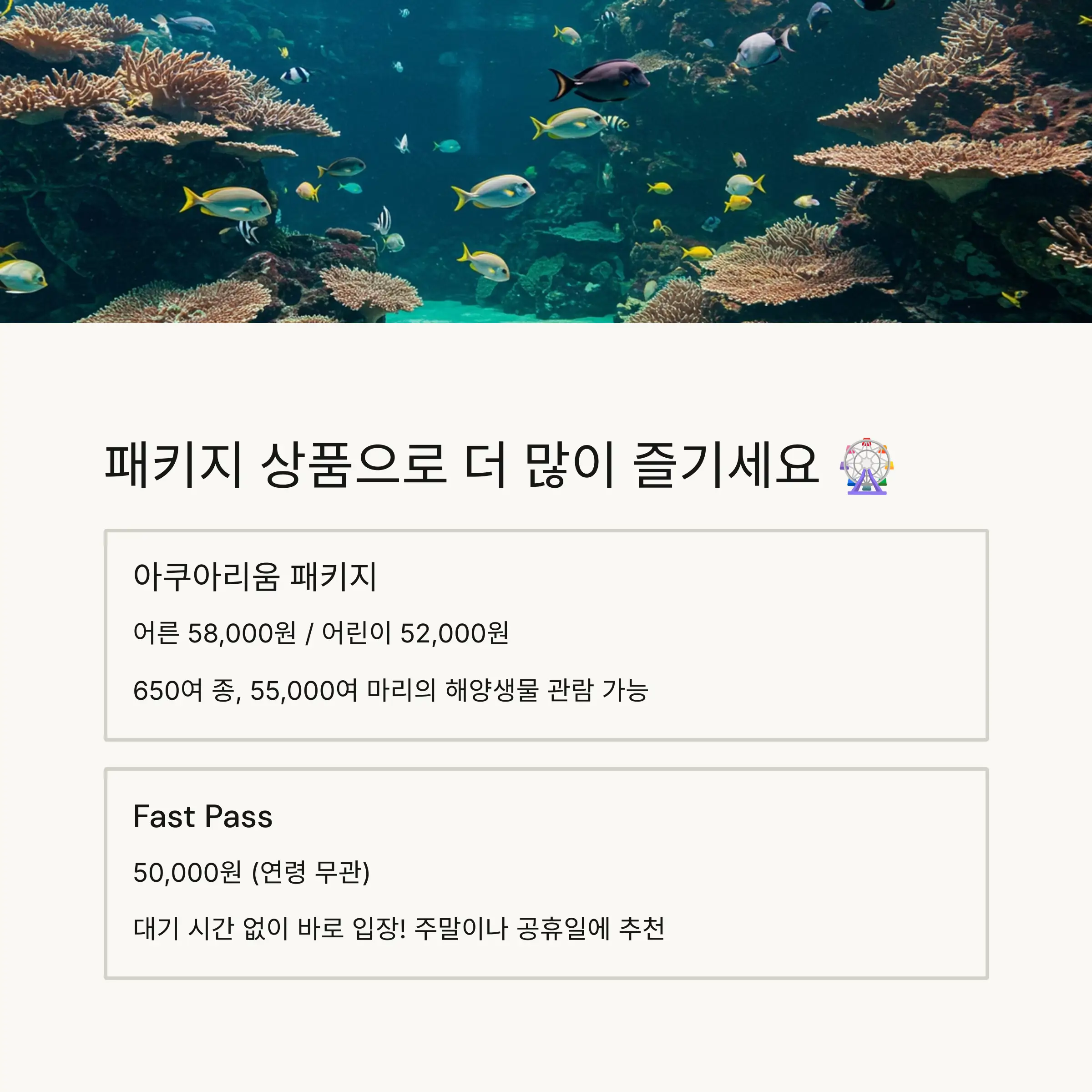 ⏰ 영업시간 및 즐길거리 완벽 가이드