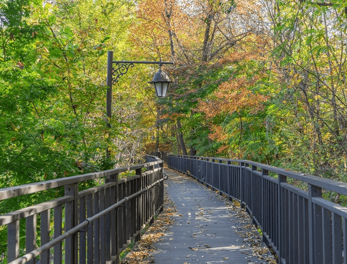 10. 서리풀 공원