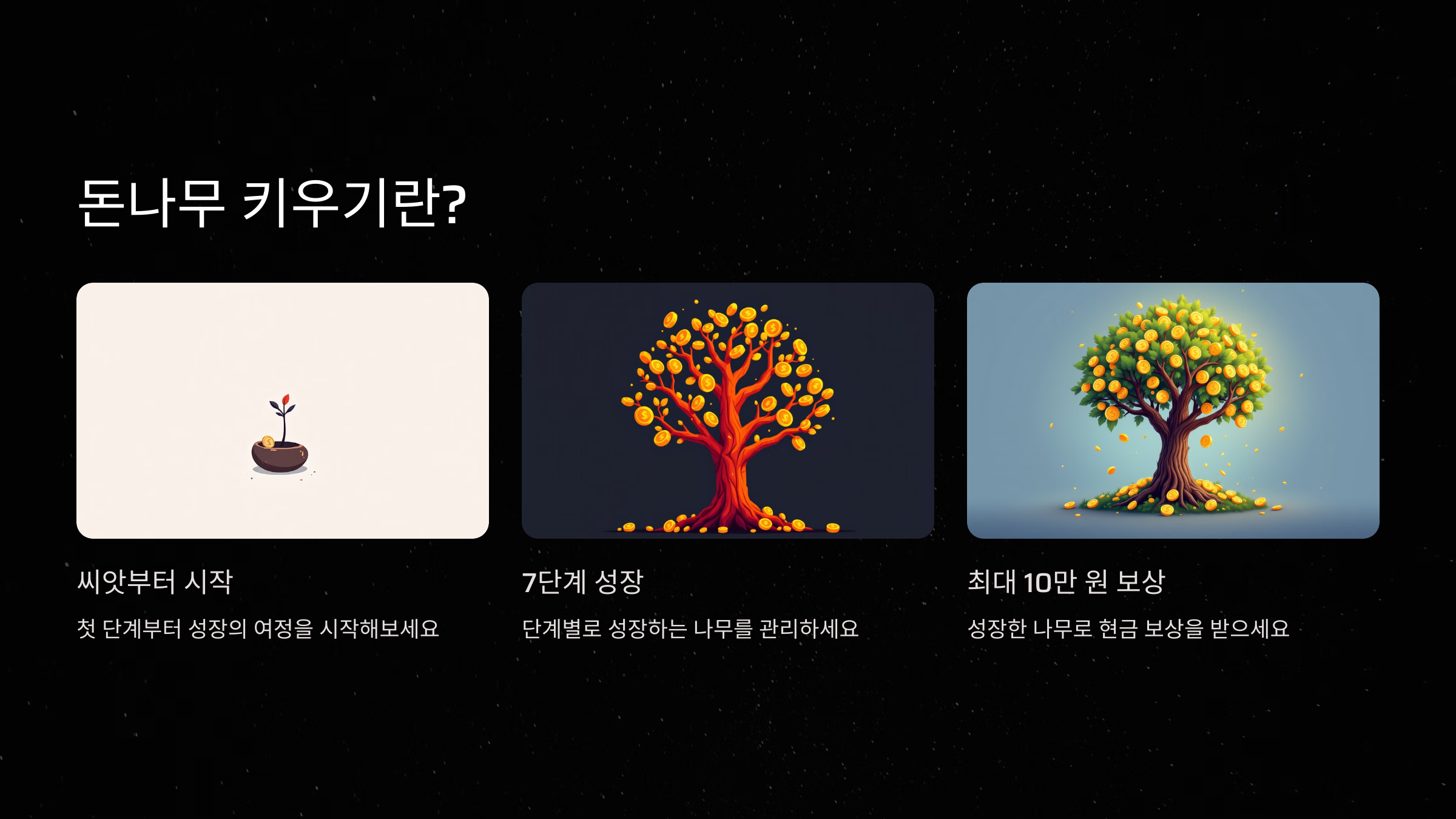 돈나무 키우기란?