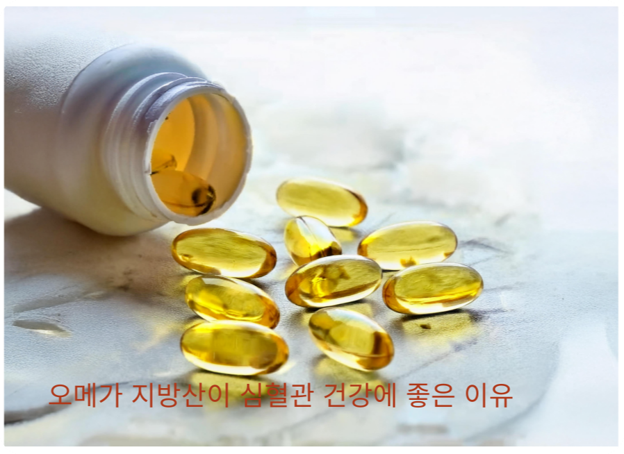 오메가-3 지방산의 심혈관 건강에 대한 효능