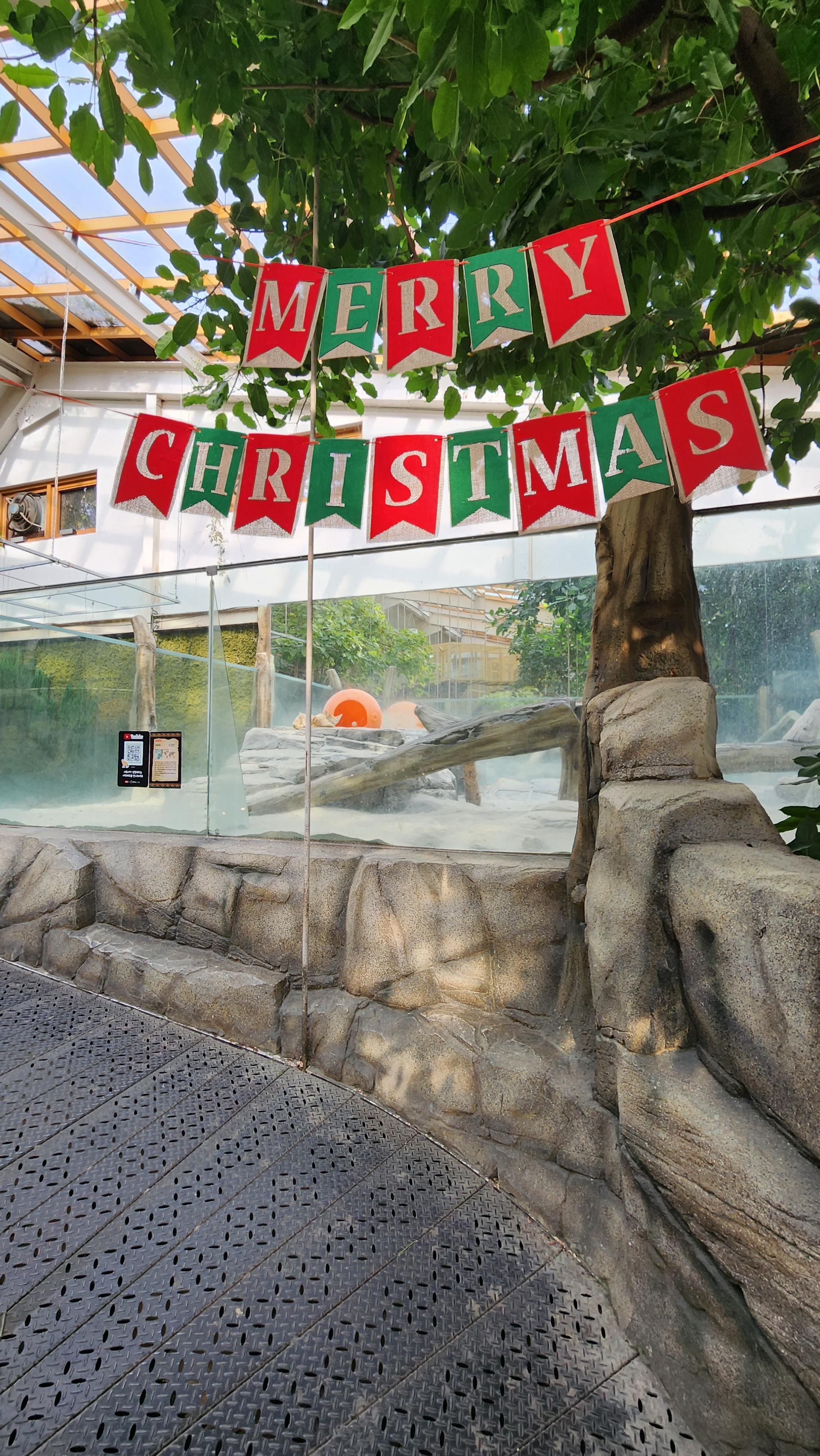 대구-네이처파크