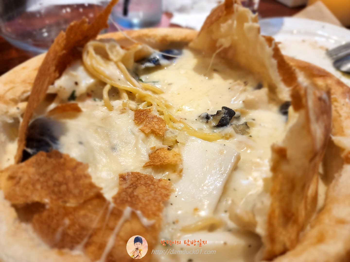 C쿠치나